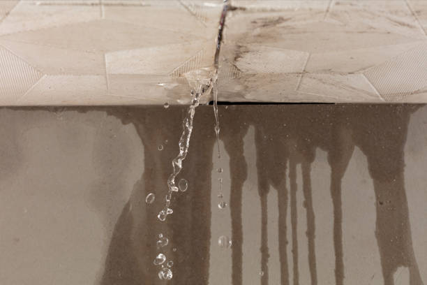 Professional Structural Drying technician working in Dupont, PA